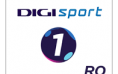 DIGI SPORT Logo